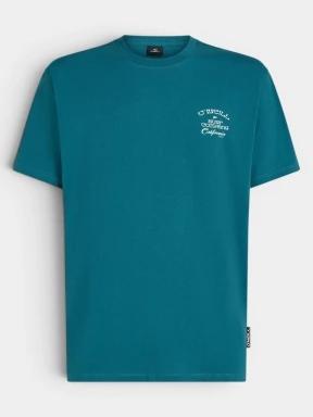 O'Neill O'Neill Beach Chest Print T-Shirt férfi rövid ujjú póló zöld színben 1