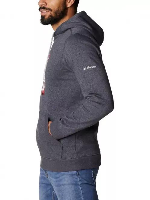 Columbia CSC Basic Logo II Hoodie férfi kapucnis pulóver szürke színben 4