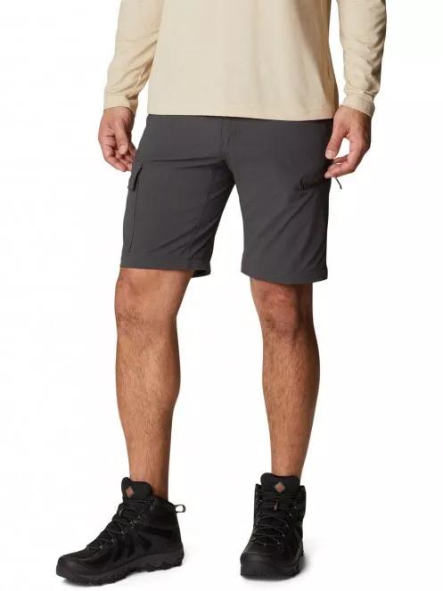 Newton Ridge II Convertible Pant