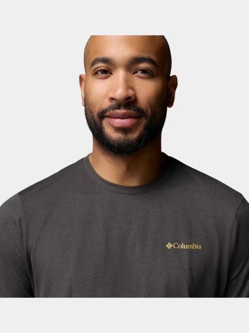 Columbia Parsons Point Short Sleeve Back Graphic Tee férfi rövid ujjú sport póló fekete színben 6