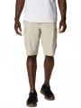 Silver Ridge Cargo Short