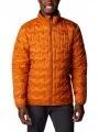 Delta Ridge Down Jacket